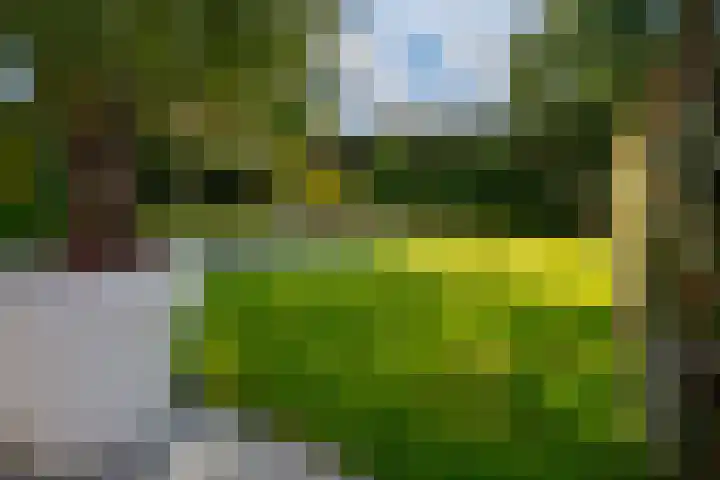 de Gamert 2421 Wijchen thumbnail 31