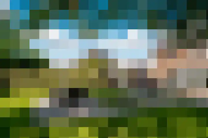 de Gamert 2421 Wijchen thumbnail 32