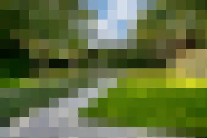 de Gamert 2421 Wijchen thumbnail 34
