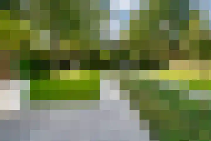 de Gamert 2421 Wijchen thumbnail 35