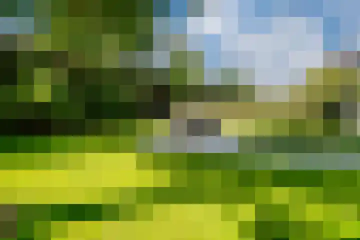 de Gamert 2421 Wijchen thumbnail 36