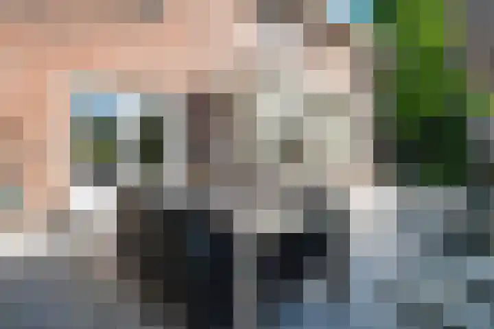 de Gamert 2421 Wijchen thumbnail 39
