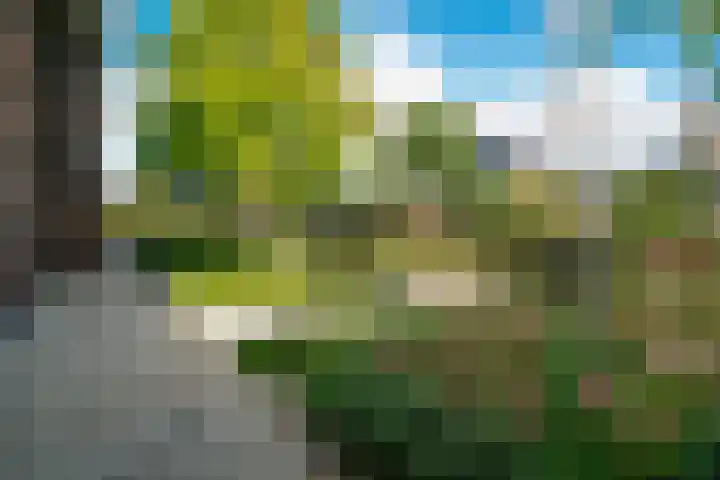 de Gamert 2421 Wijchen thumbnail 4