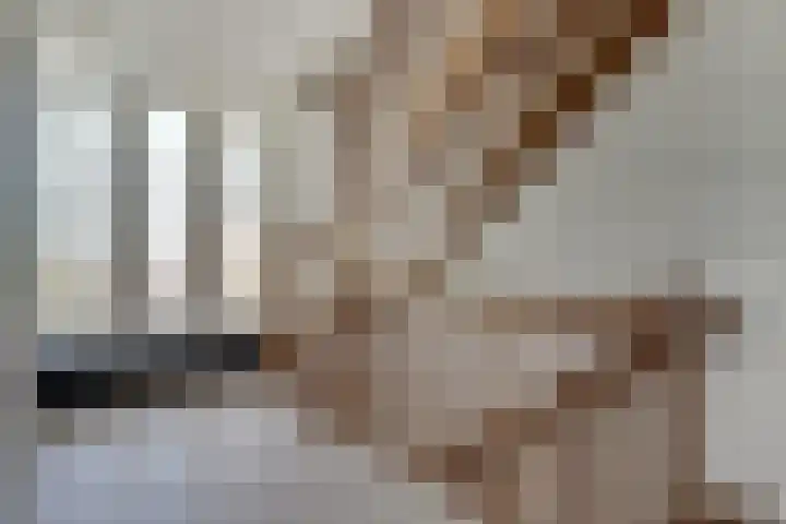 de Gamert 2421 Wijchen thumbnail 40