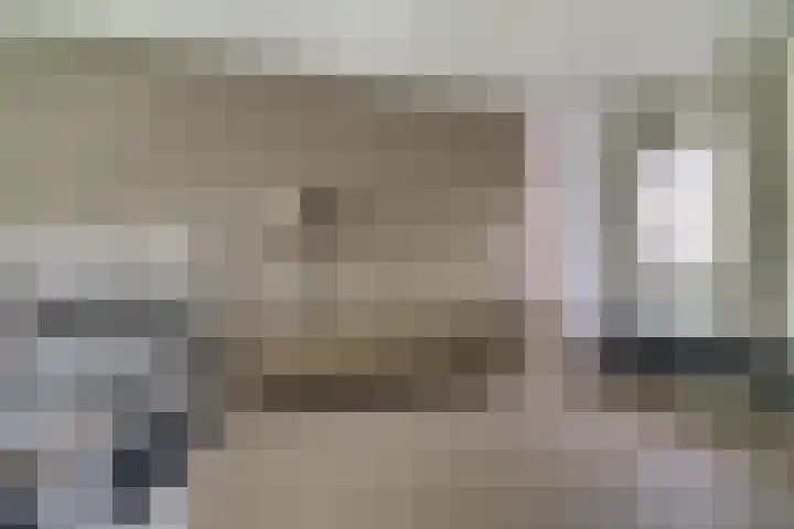 de Gamert 2421 Wijchen thumbnail 41