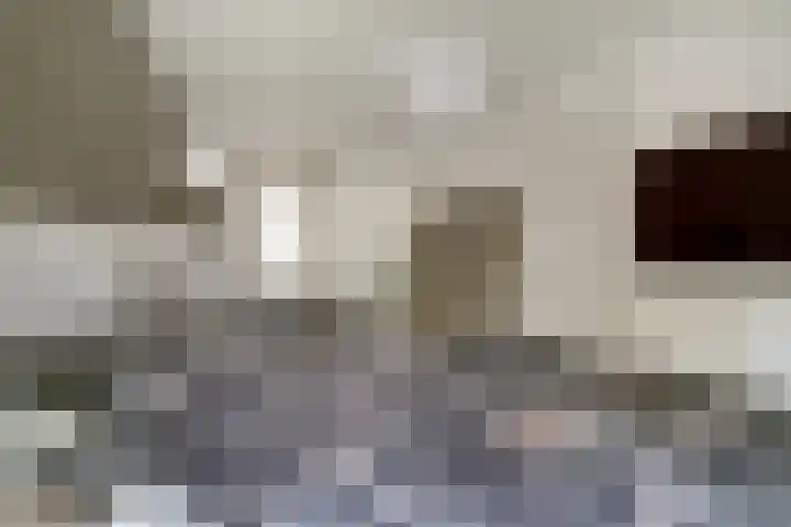de Gamert 2421 Wijchen thumbnail 42