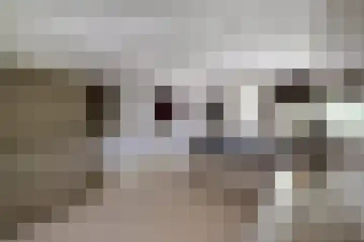 de Gamert 2421 Wijchen thumbnail 43