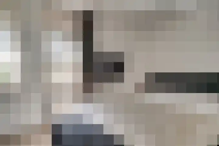 de Gamert 2421 Wijchen thumbnail 44