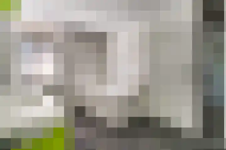 de Gamert 2421 Wijchen thumbnail 48