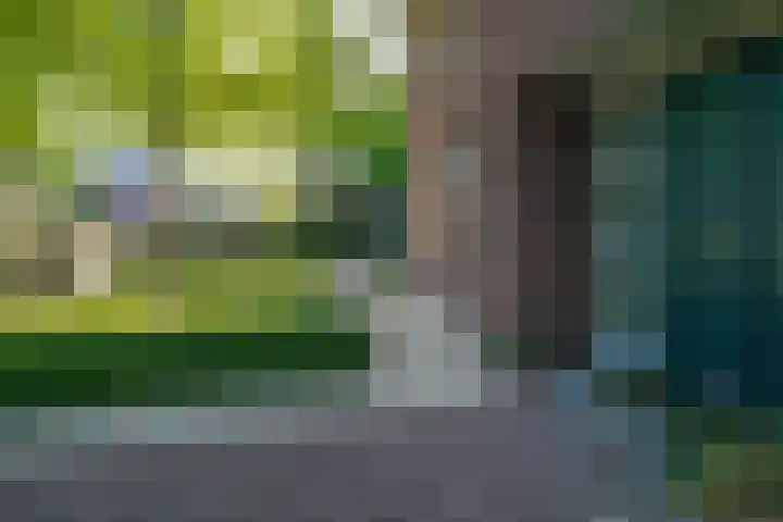 de Gamert 2421 Wijchen thumbnail 5