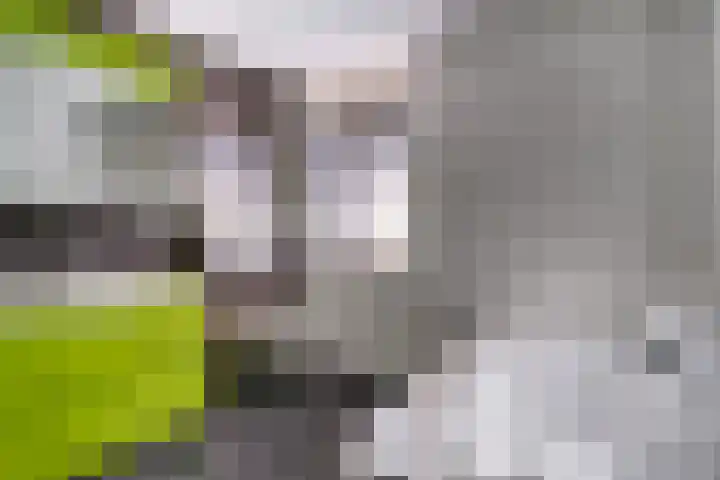 de Gamert 2421 Wijchen thumbnail 50
