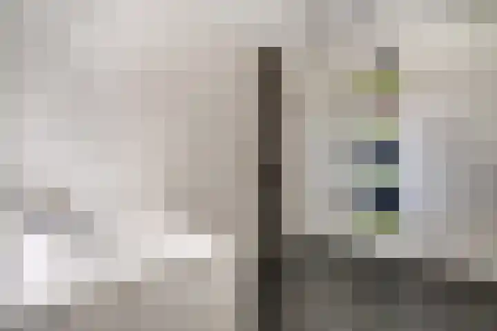 de Gamert 2421 Wijchen thumbnail 52
