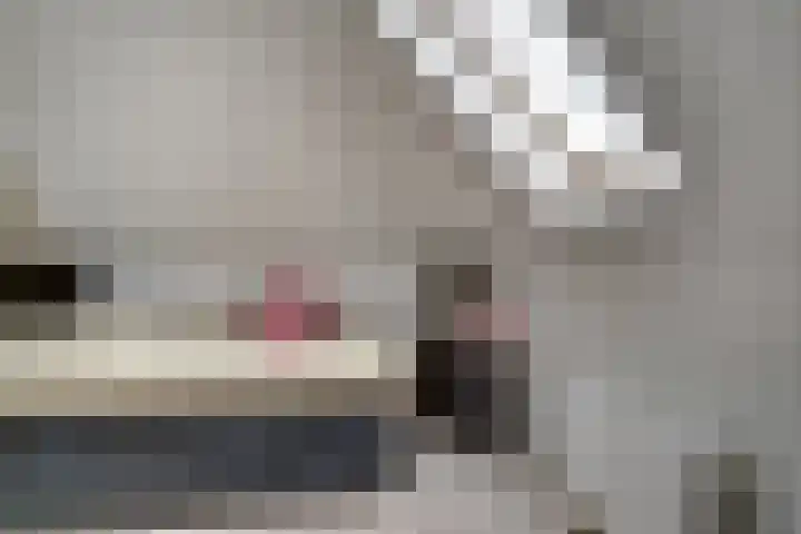 de Gamert 2421 Wijchen thumbnail 57