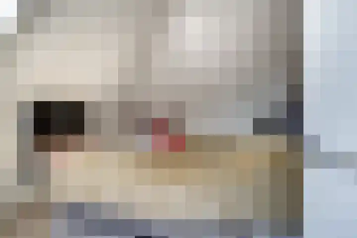 de Gamert 2421 Wijchen thumbnail 58