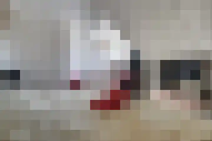 de Gamert 2421 Wijchen thumbnail 59