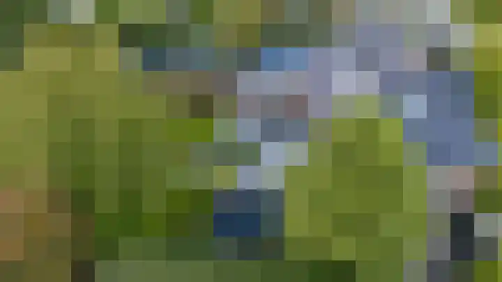 de Gamert 2421 Wijchen thumbnail 64