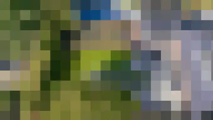 de Gamert 2421 Wijchen thumbnail 65