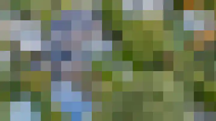de Gamert 2421 Wijchen thumbnail 66