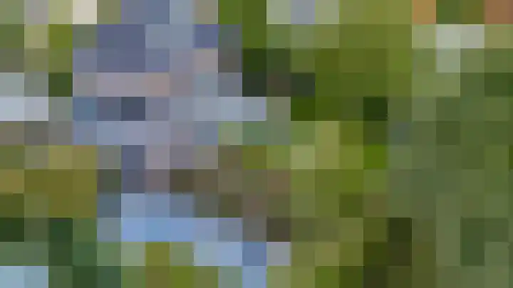 de Gamert 2421 Wijchen thumbnail 67