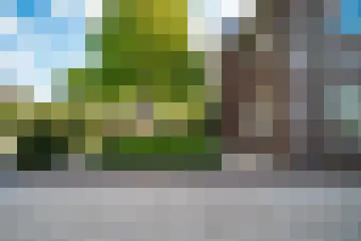 de Gamert 2421 Wijchen thumbnail 72