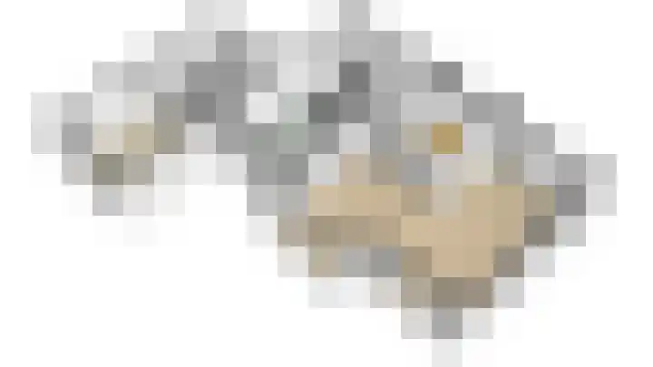 de Gamert 2421 Wijchen thumbnail 74