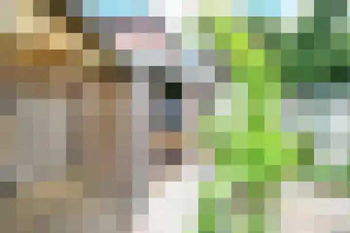 de Gang 4 Benthuizen thumbnail 11