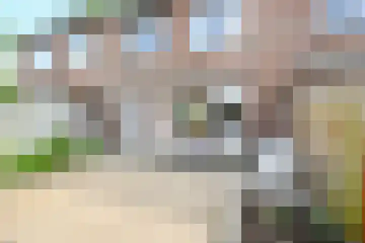 de Gang 4 Benthuizen thumbnail 12