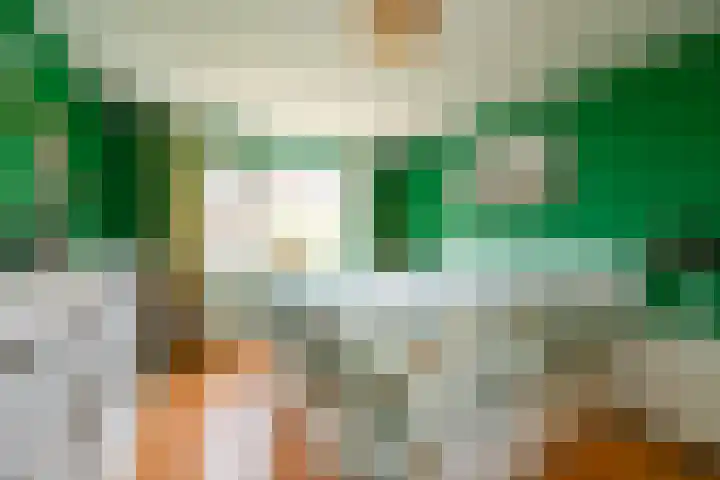 de Gang 4 Benthuizen thumbnail 21