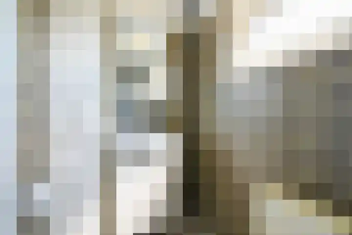 de Gang 4 Benthuizen thumbnail 23
