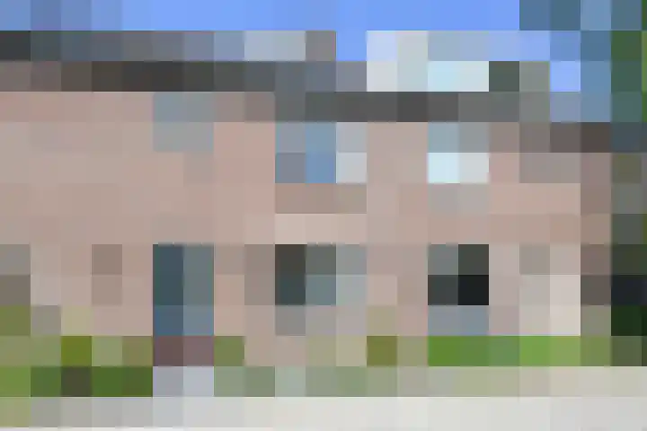 de Gang 4 Benthuizen thumbnail 5