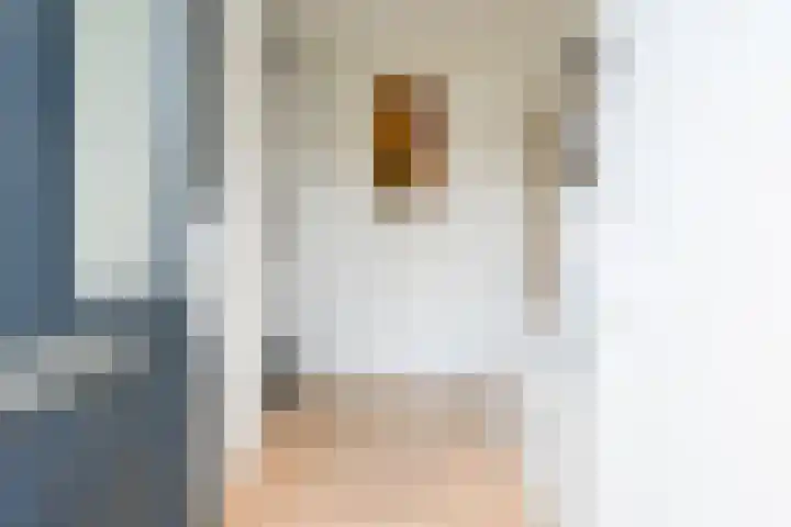 de Gang 4 Benthuizen thumbnail 6