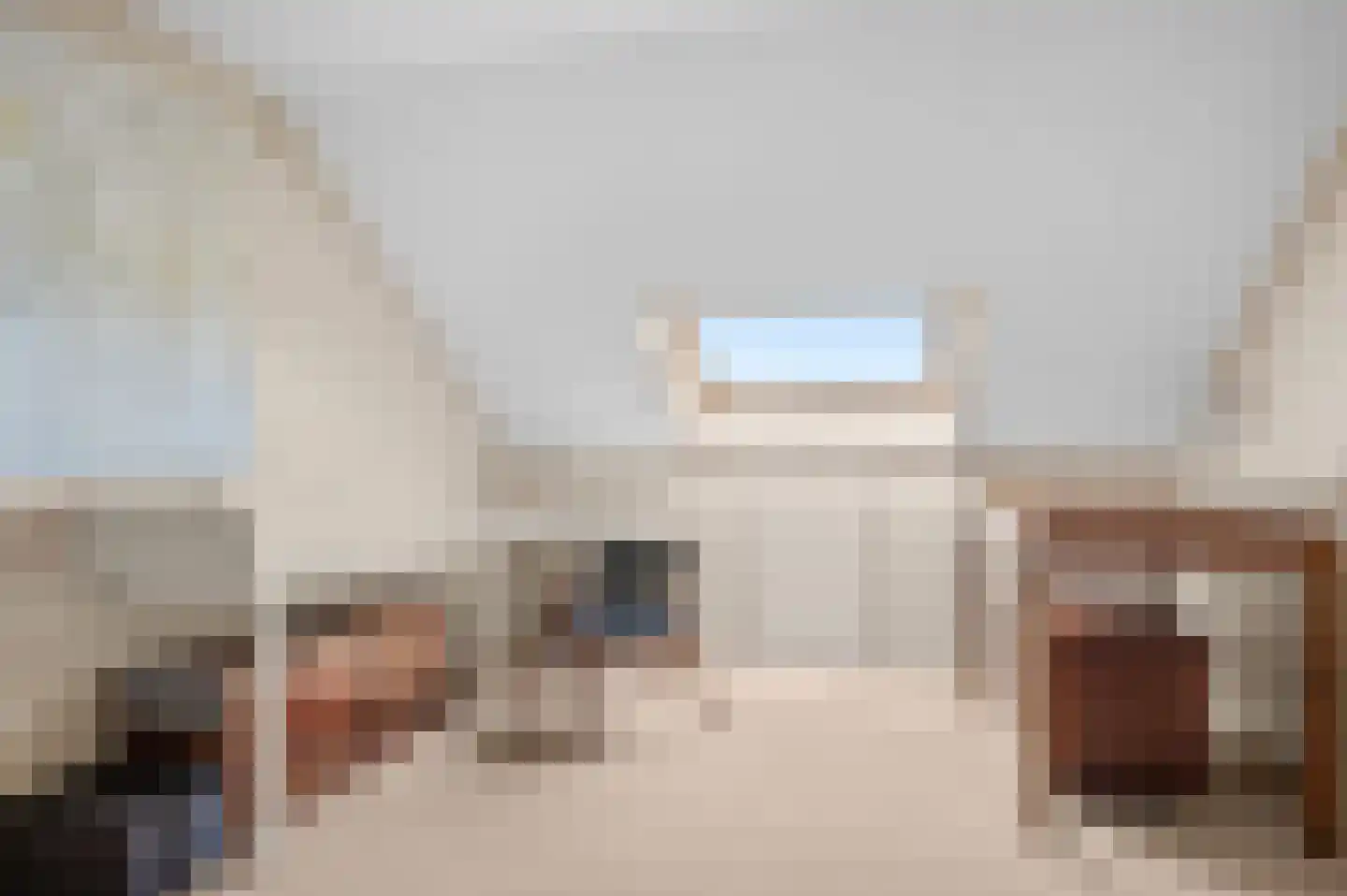 de Ganzeboom 127 Schalkhaar thumbnail 22