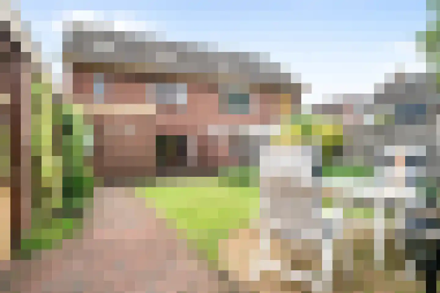 de Ganzeboom 127 Schalkhaar thumbnail 25
