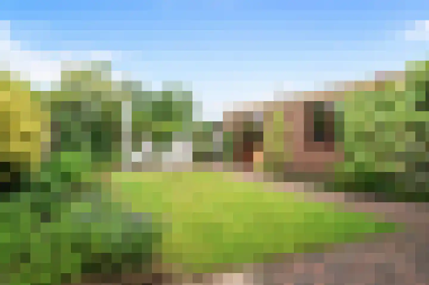 de Ganzeboom 127 Schalkhaar thumbnail 28