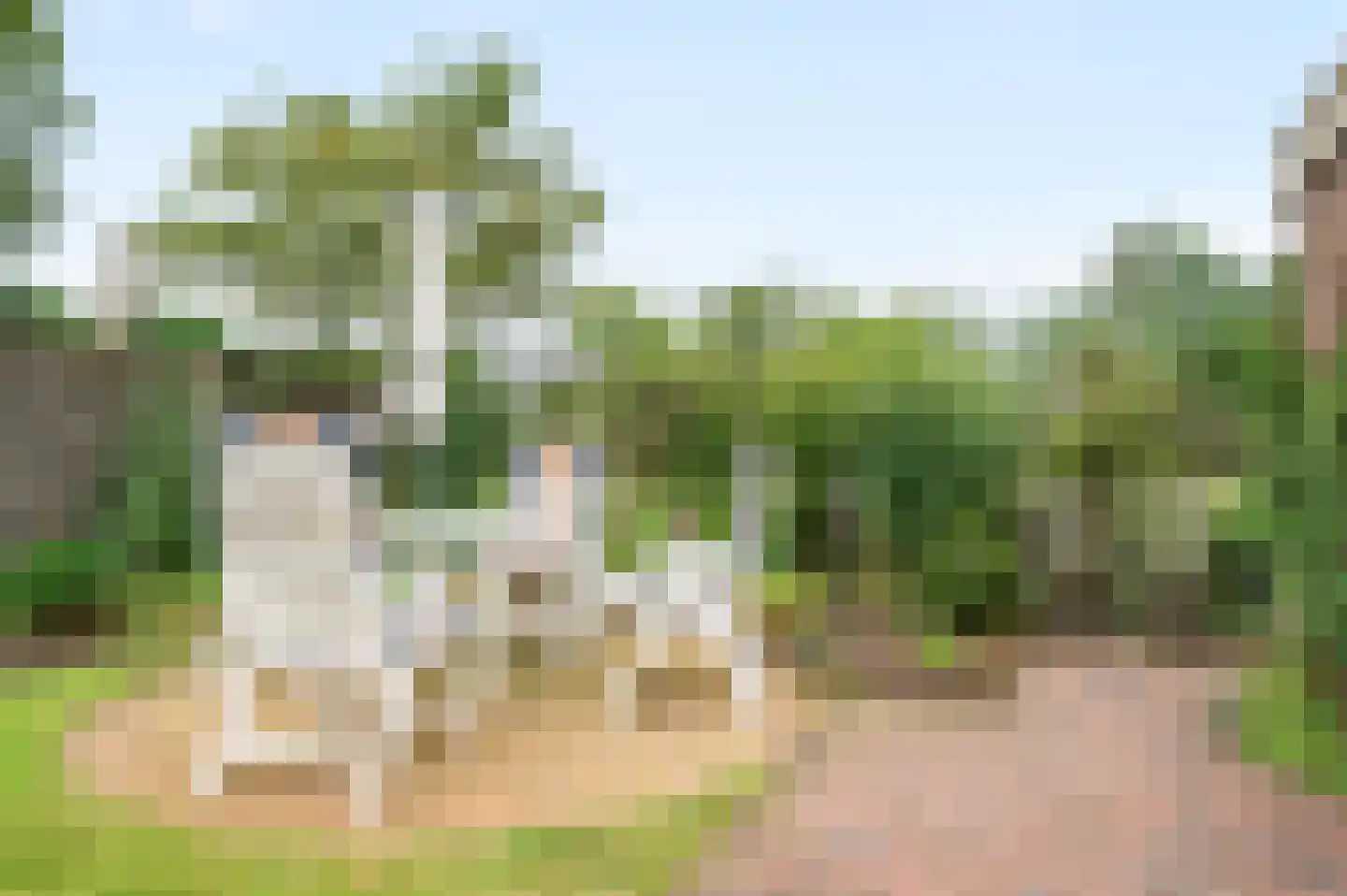 de Ganzeboom 127 Schalkhaar thumbnail 29
