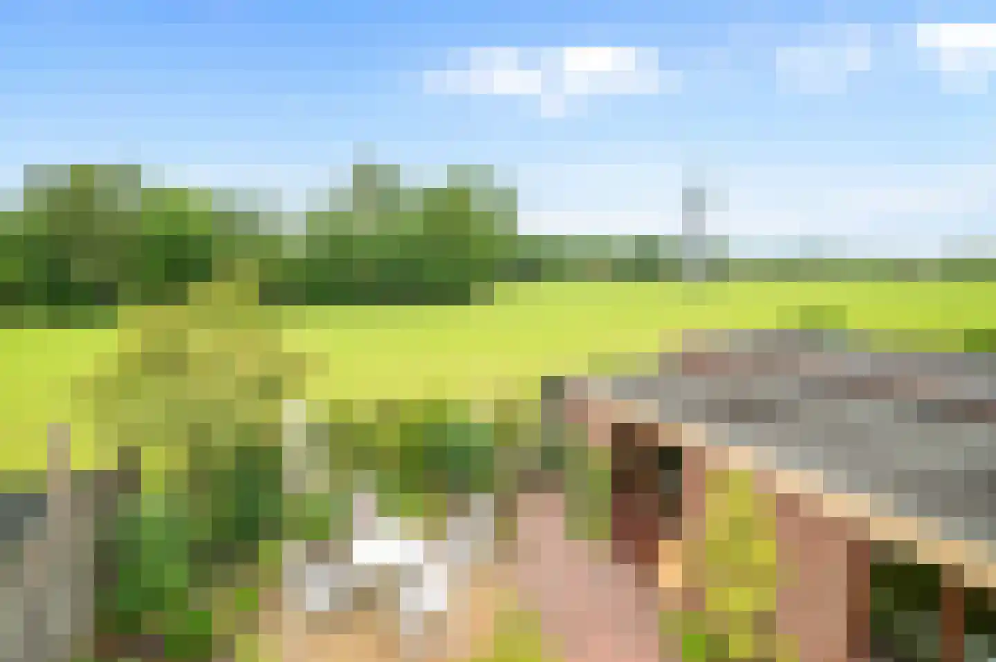 de Ganzeboom 127 Schalkhaar thumbnail 30
