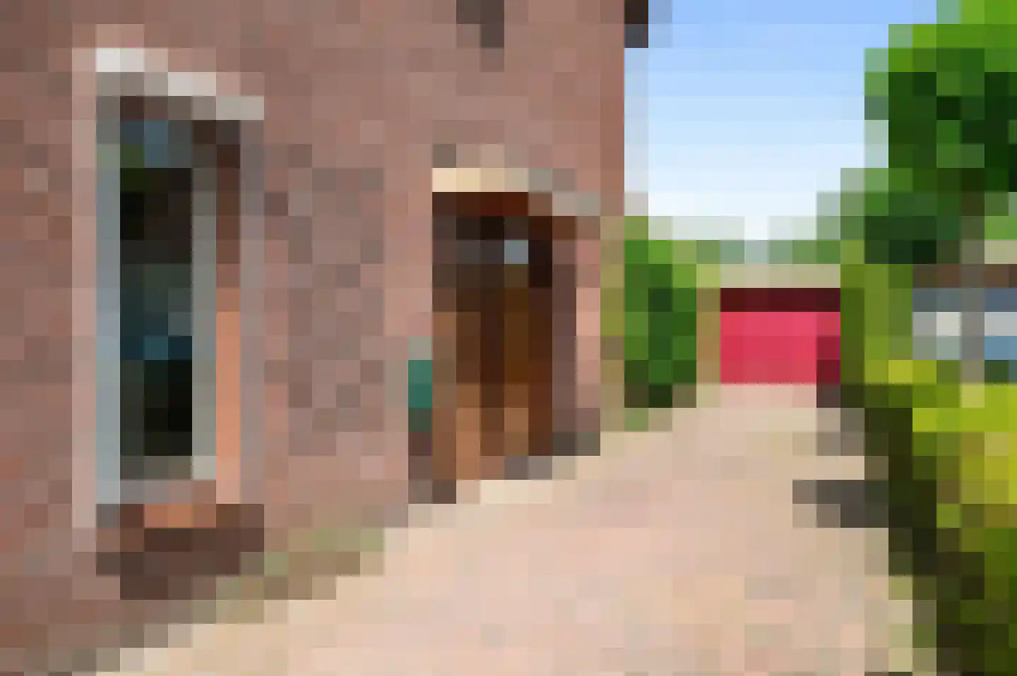 de Ganzeboom 127 Schalkhaar thumbnail 31