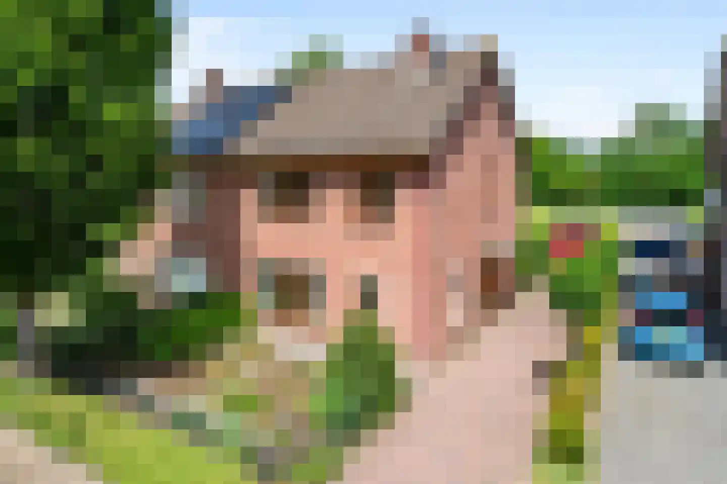 de Ganzeboom 127 Schalkhaar thumbnail 33