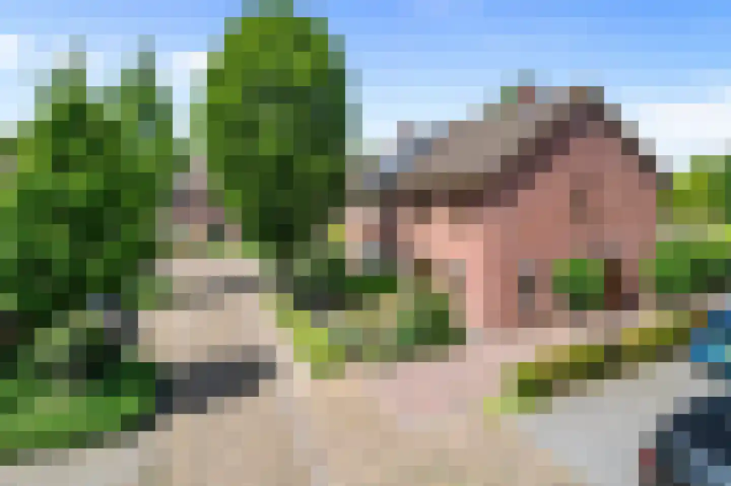 de Ganzeboom 127 Schalkhaar thumbnail 34