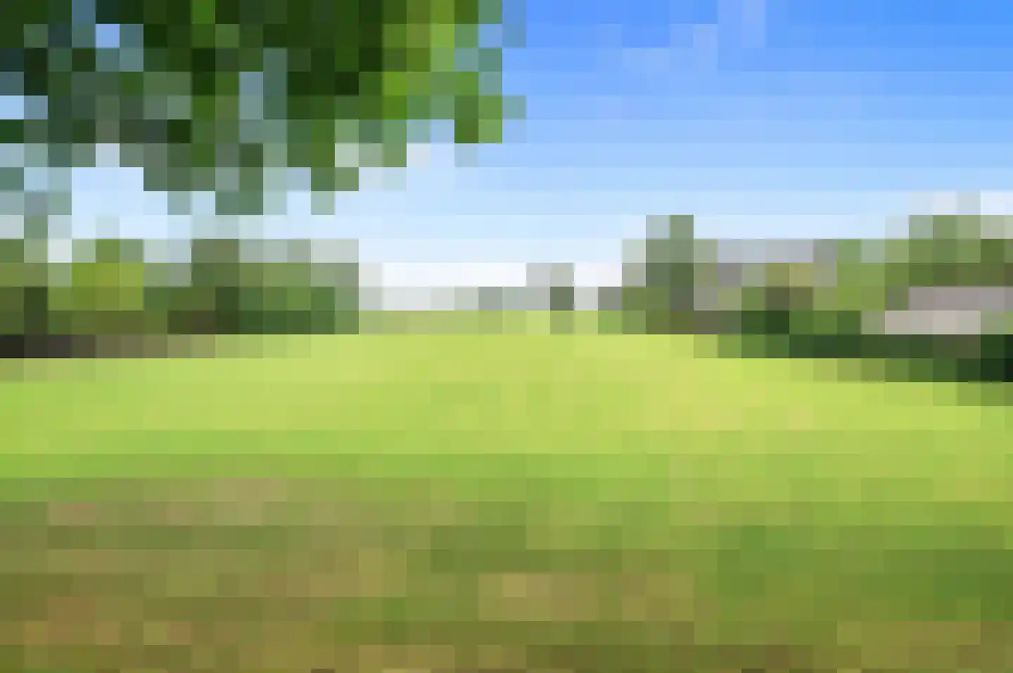 de Ganzeboom 127 Schalkhaar thumbnail 36