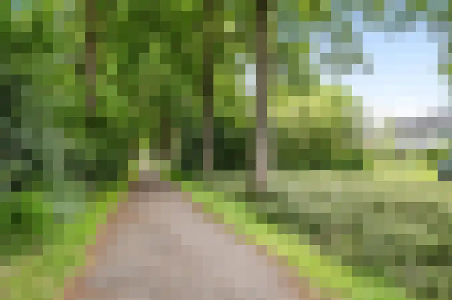 de Ganzeboom 127 Schalkhaar thumbnail 37