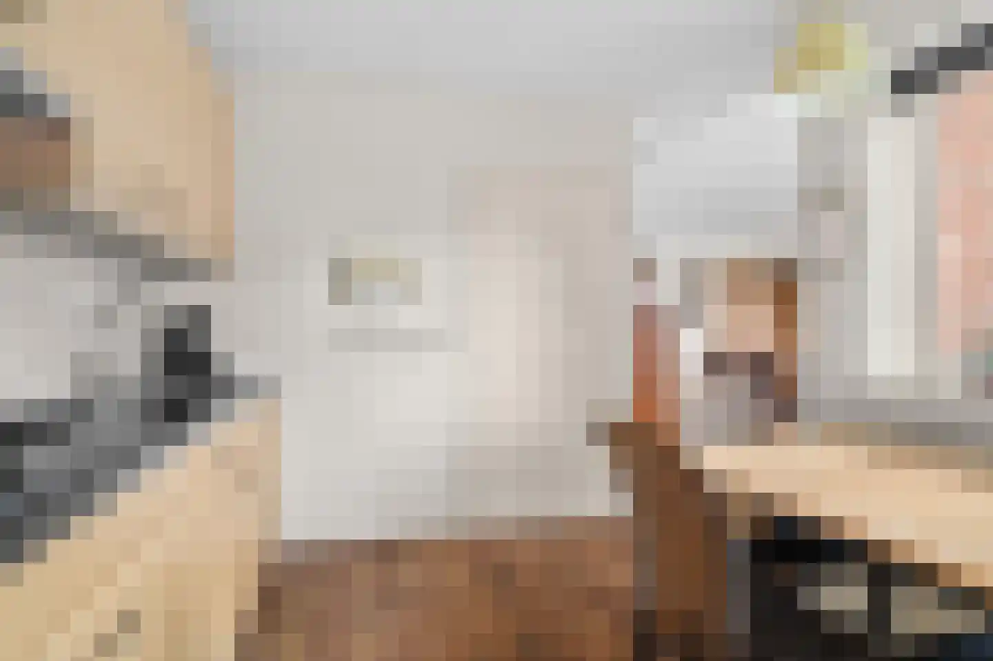 de Ganzeboom 127 Schalkhaar thumbnail 9