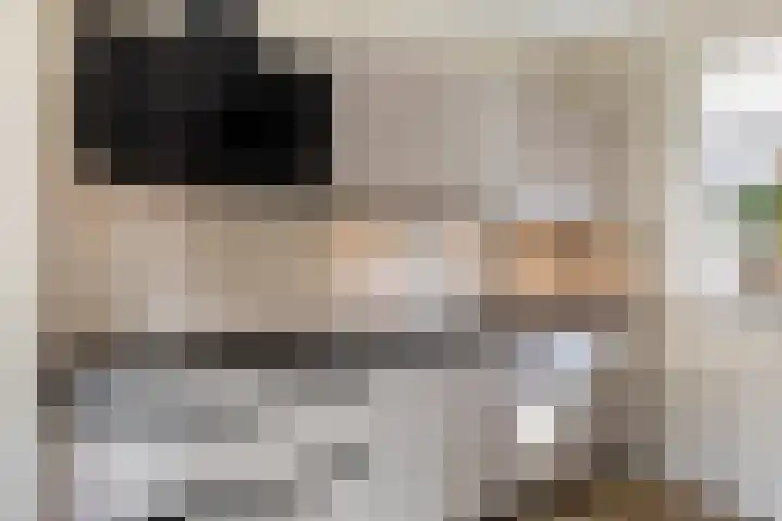 de Ganzeboom 145 Schalkhaar thumbnail 10