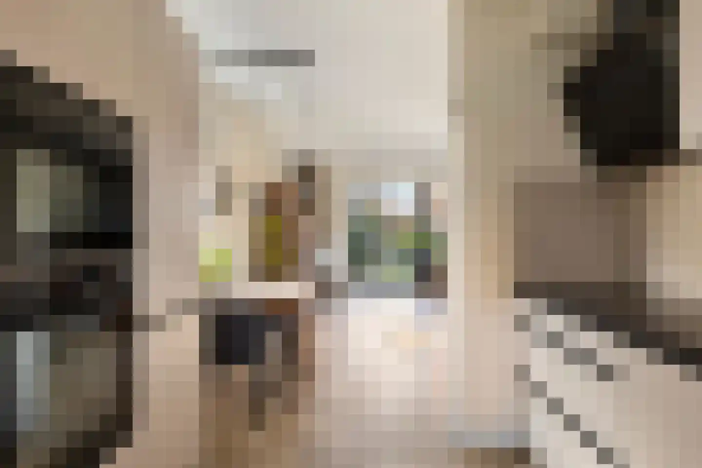 de Ganzeboom 145 Schalkhaar thumbnail 11