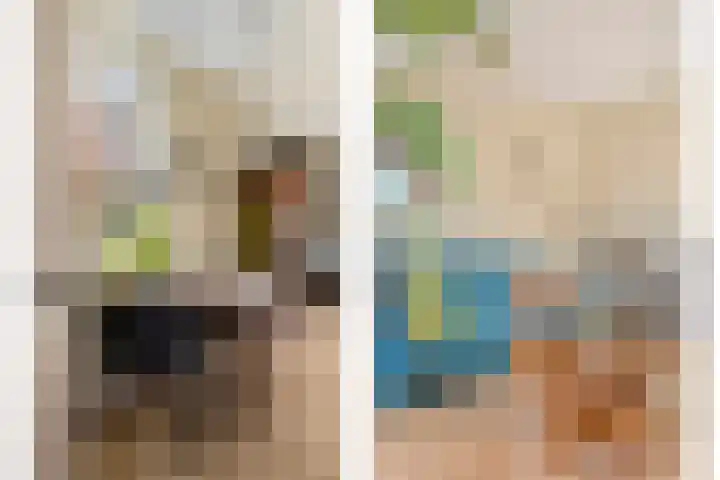 de Ganzeboom 145 Schalkhaar thumbnail 12