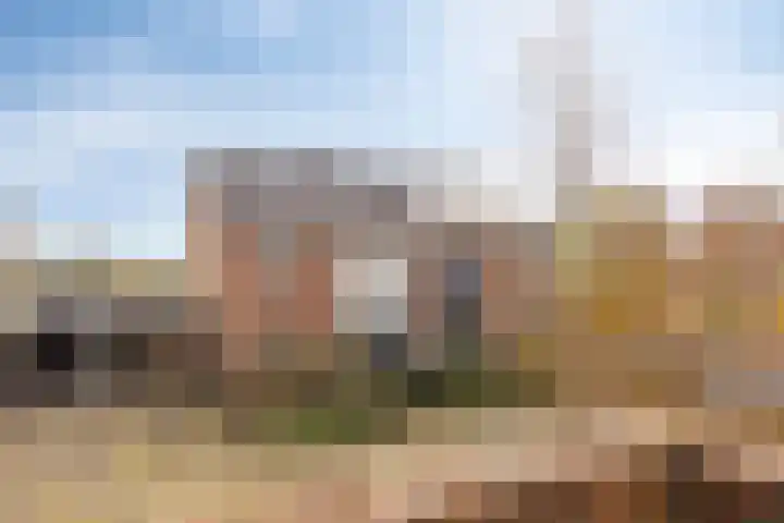 de Ganzeboom 145 Schalkhaar thumbnail 17