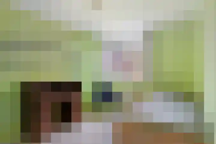 de Ganzeboom 145 Schalkhaar thumbnail 18