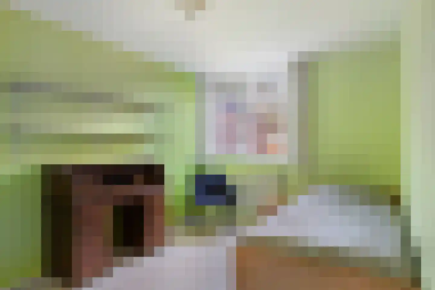 de Ganzeboom 145 Schalkhaar thumbnail 18