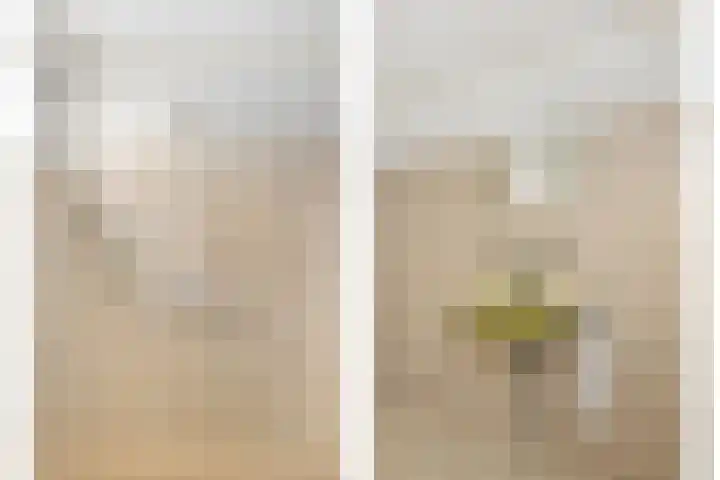 de Ganzeboom 145 Schalkhaar thumbnail 23