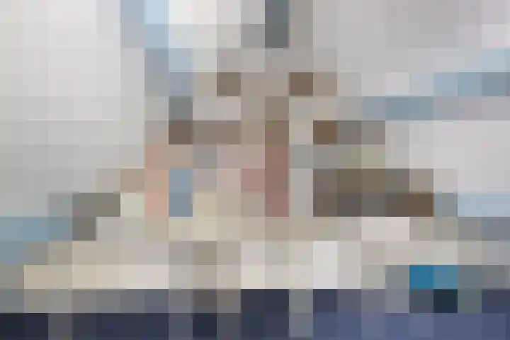 de Ganzeboom 145 Schalkhaar thumbnail 28